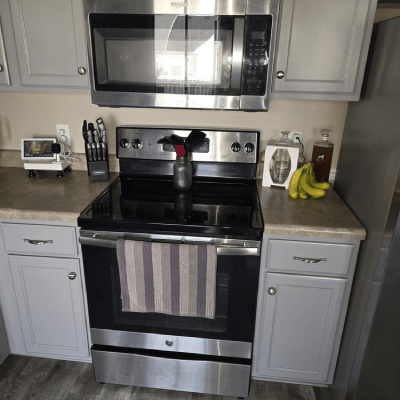 APPLIANCE CLEANING